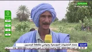 حصاد الخضروات الموسمية بضواحي مقاطعة كرمسين تقرير محمدن بلال