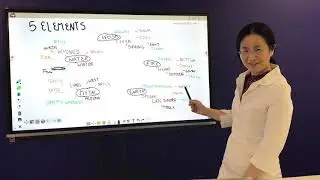 One of fundamental theory of Traditional Chinese medicine - Five elements theory