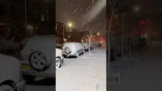 Walking New York | Brooklyn Winter Snow Blizzard - NYC Winter Snowstorm