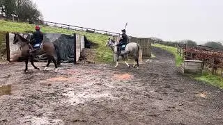 Jimmy Gatz - tacked up and ready to work in Lambourn