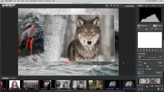 Introduction to Topaz Studio