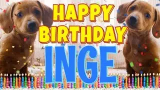 Happy Birthday Inge! ( Funny Talking Dogs ) What Is Free On My Birthday