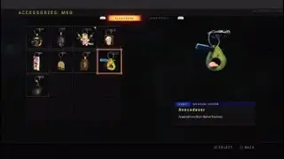 Bo4 all weapon charm accessories showcase