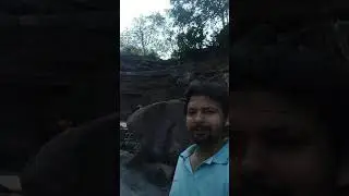 Monkeys hill |😊 बंदर in mount forest | Animal forest | #Shorts
