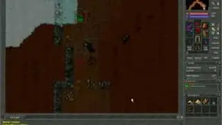 9 lvl sorc  vs slime RL tibia