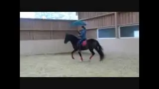 Antischreck-Training Choquero.wmv