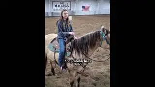 I love my quarter horses and my appilosa's!