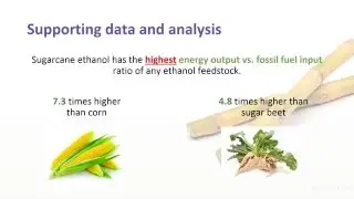 ENGR 3124 F15: Sugarcane as a Source of Energy