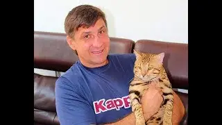 Анонс новой авторской программы 