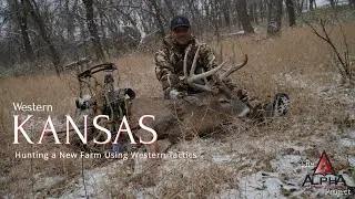 Late November Kansas Whitetail Hunt- Bowhunting our New Farm #bowhunting #deerhunting #whitetail