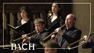 Bach - Gloria Patri from Magnificat BWV 243 | Netherlands Bach Society