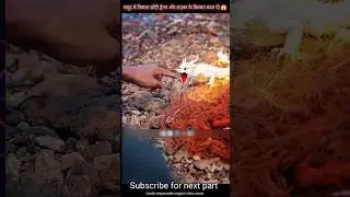 samundra se nikala chota dragon or ladka ke kismat badal di #short #ytshort #chiniya #viral