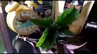 Nggo Rika camilan enak