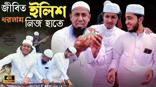 জীবন্ত তাজা ইলিশ মাছ 🐟 ধরলাম সবাই মিলে || এমন দৃশ্য কোনদিন দেখিনি 😲