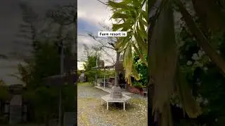 Farm resort in The Philippines | Organic Sunset Farm Pampanga #farm
