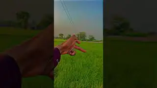 Pirmahal 753 chgb #morning #minivlog