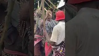 The Gishu Traditional Circumcision of the Men #africancommunity #africa