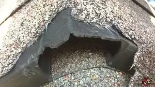 Flying Squirrels Got In through the Roof Ridge Vent