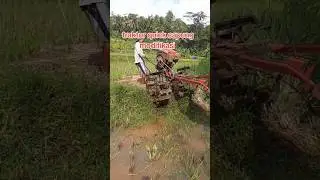 traktor tangan skill dewa pindah lahan naik pematang sawah