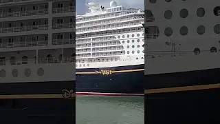 DISNEY WISH CRUISE SHIP | DISNEY CRUISELINE🌊😱 #cruiseship