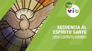 Secuencia al Esp&iacute;ritu Santo, &iexcl;Ven Esp&iacute;ritu Divino! 🕊️ Tele VID
