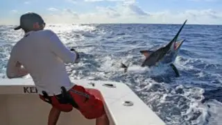 THE BEST THROW EVER IN FISHING!!!