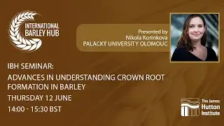 IBH Seminar | Advances in understanding crown root formation in barley