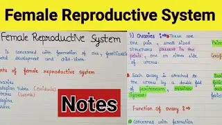 Female  reproductive system |  Female reproductive system class12 | Human reproduction