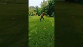 speed drill  #agility #speed #agilitytraining #fitness #agilitydog #training #shorts