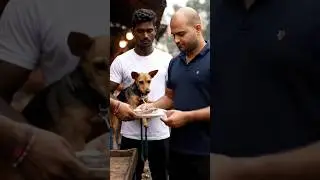 continued to the extreme market to buy a dog and snake meat 🥺 #extrememarket #snake #market