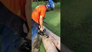 Bore Cutting with the EGO #chainsaw #arborist #bore #ego #egopowerplus