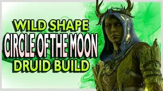 Circle of the Moon Druid the Best and Most Fun Class in Baldur's Gate 3