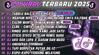 DJ TIKTOK TERBARU 2025-🎵DJ TABOLA BALE X PICA PICA 2🎵DJ NGAPAIN REPOT- KO TOLONG BILANG CINTA KA 