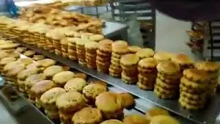 cookies horizontal flow packing machine,cookies hffs flow wrap machine