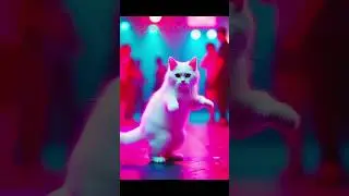 😻