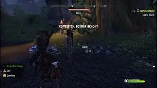 The Elder Scrolls Online: Tamriel Unlimited Bosmer insight