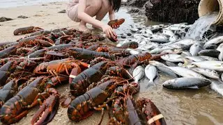 I Just Arrived At The Beach And Found A Big Fish, And The Next Second I Found A Huge Lobster