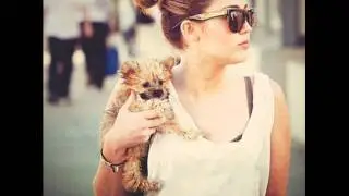 A few pictures of Miley Cyrus. x3.