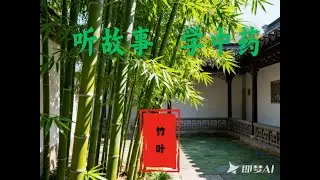 听故事学中药  竹叶