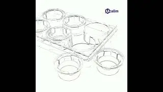 T1406 6 Well Cell Culture Insert PC 0.4&mu;m Translucent