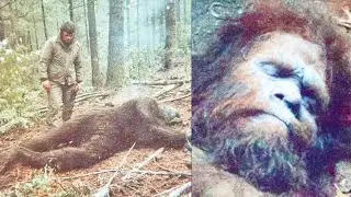 Hunter Footage Shows Bigfoot Corpse in Missouri - Sasquatch Encounter Story