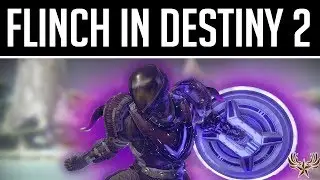 The Bizarre way Flinch works in Destiny 2