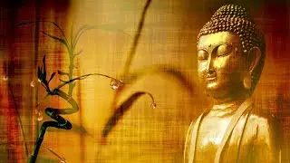 Dhammapada decoded. Unlocking the secret teachings of The Buddha - 01