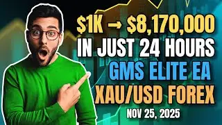 $1,000 Turned $8,170,000 in 24 Hours | GMS Elite EA Gold Scalping Strategy (XAUUSD Forex Trading)