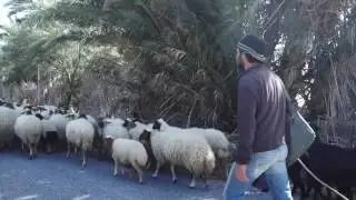 Ghar el Melh un film de Rached Ben Najah