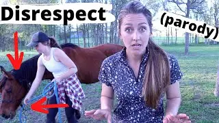 IS YOUR HORSE DISRESPECTFUL? + How to fix it (funny 😂)