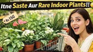 So Rare & Cheap Indoor Plants in 2026 😱 | Rare Plants, Houseplants, Low Price Gardening Deals 🌿🌱