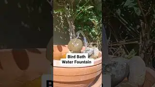 Solar Powered Bird Bath! #shorts #farming #gardening #garden