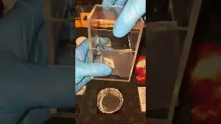 Uranium Metal Tiktok tristanlee001