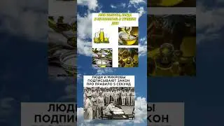 #мемы #mems #youtube #мем #мемы_тикток #shorts #fyp